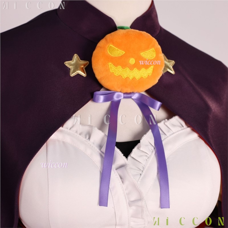 Halloween Adults Cos Re life I - Re Zero Rem Wig review and price